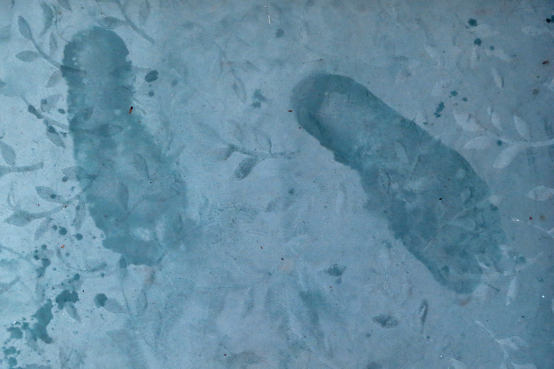 Footprints