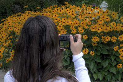 Girl,Camera, Black Eyed Susans